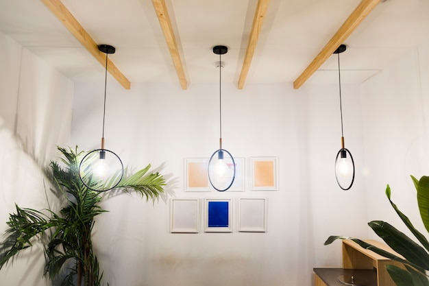 Минималистичная комната с тремя подвесными светильниками, произведениями искусства в рамках и комнатными растениями.
